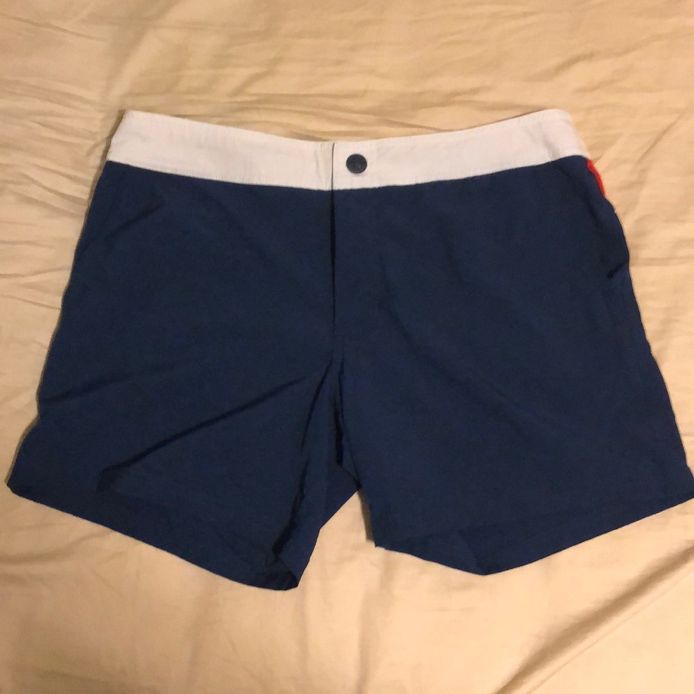 Men’s Chubbies Swim Trunks